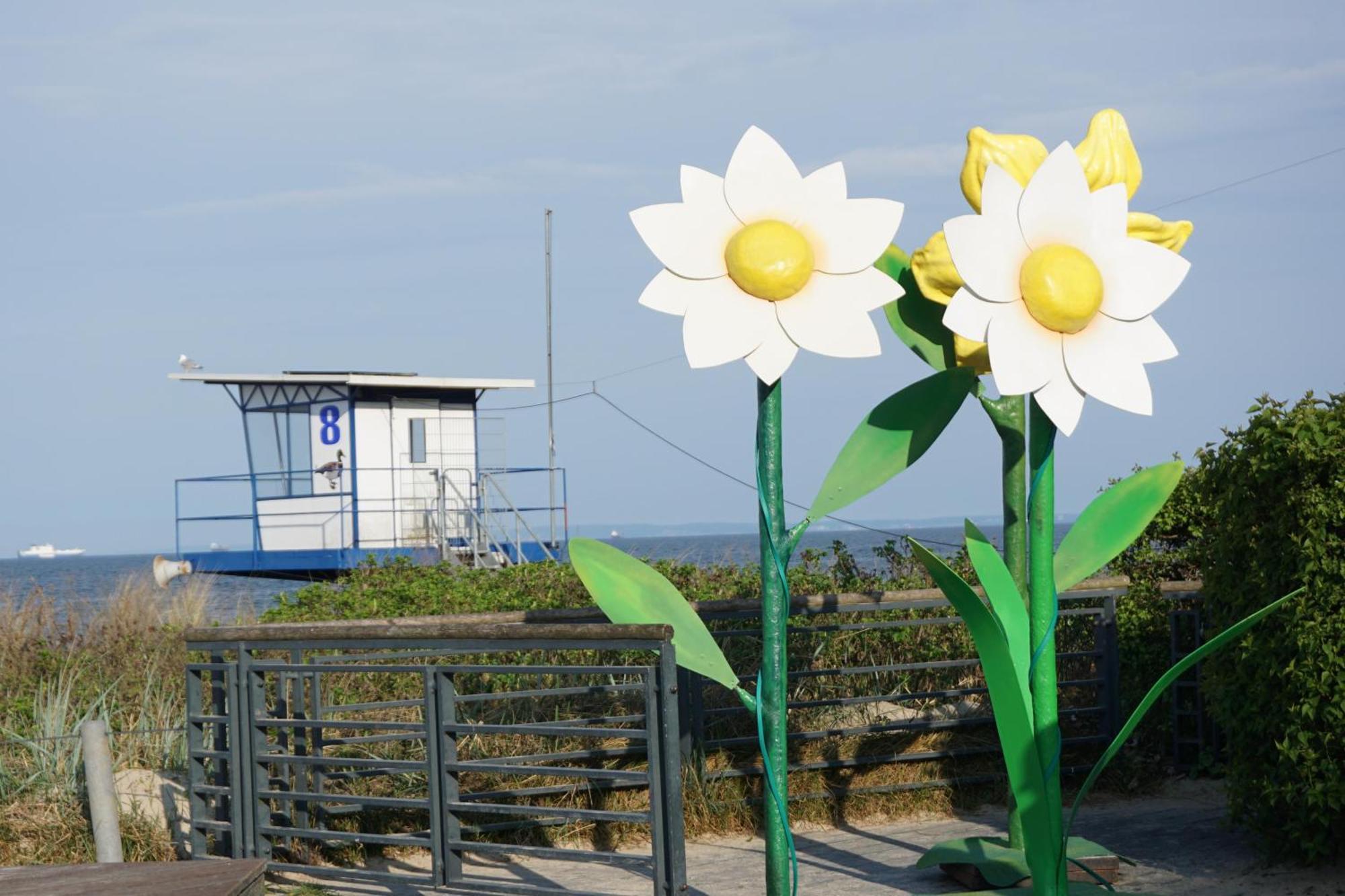 Strandoase - Fewo 21 Heringsdorf  Esterno foto